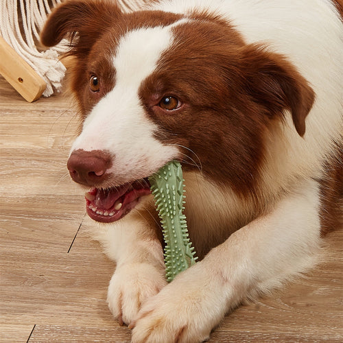 Dog Chew Toy for Dental Health & Engagement