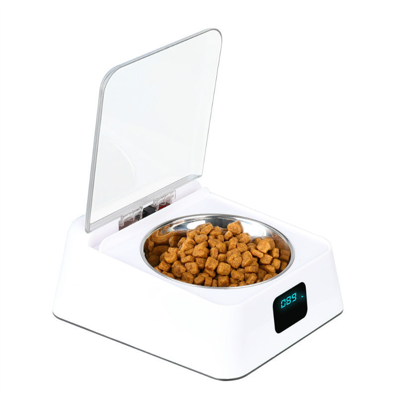 Scheduled Pet Feeding Made Simple and Reliable