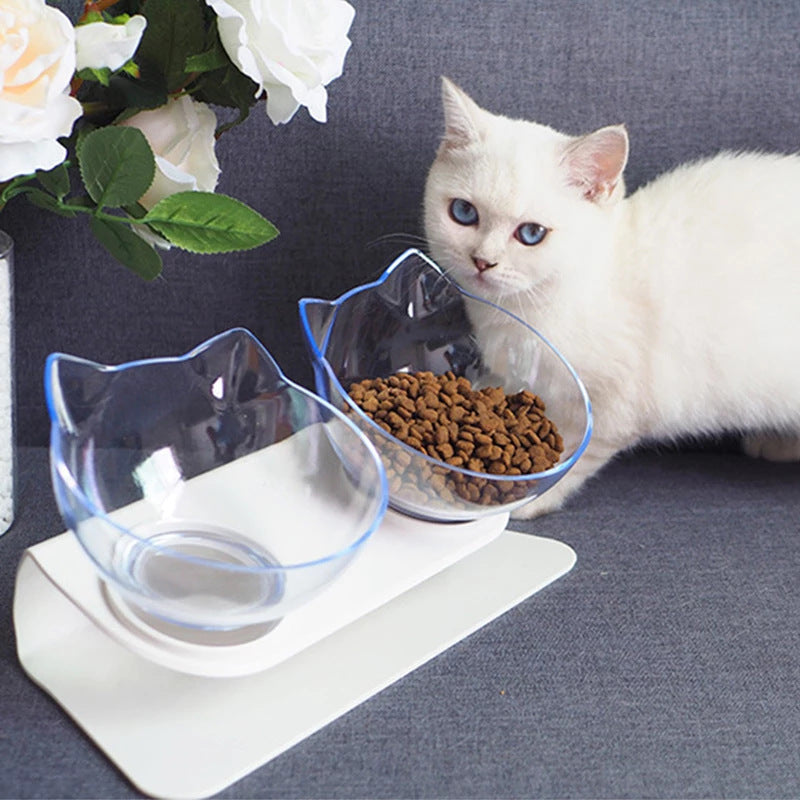 Ergonomic Double Cat Bowl with Tilted Design
