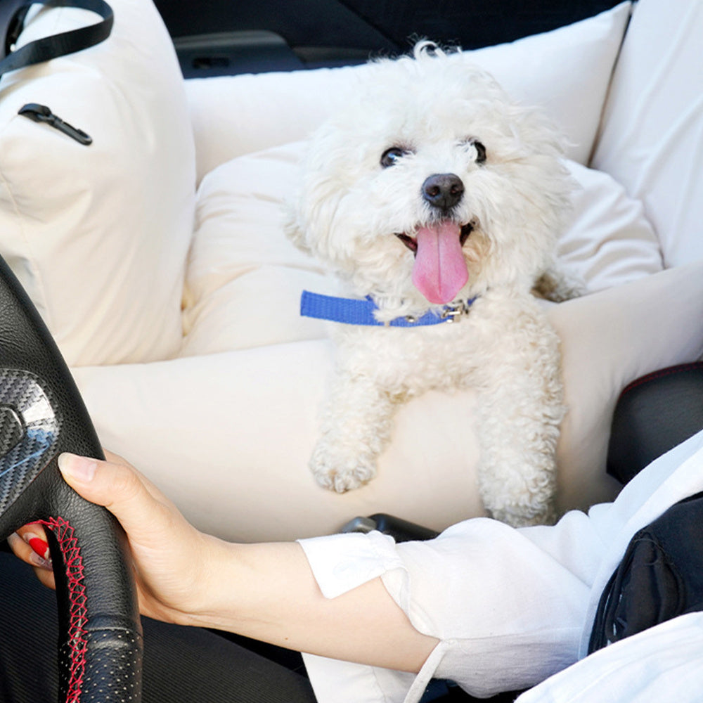 Stylish Pet Car Carrier That Keeps Your Pet Secure