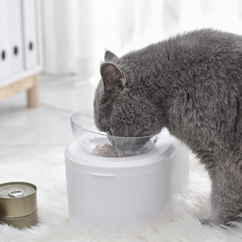 Transparent Double Tilted Bowl – Comfortable Neck-Friendly Meals