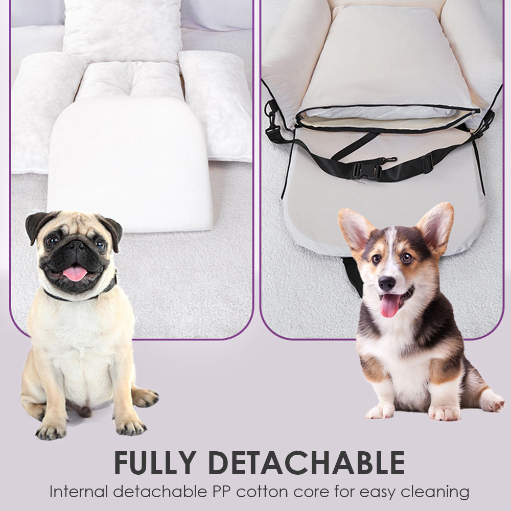 Stylish Pet Car Carrier That Keeps Your Pet Secure